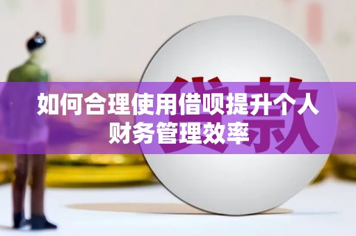 东西湖如何合理使用借呗提升个人财务管理效率