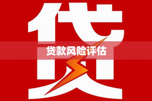 东西湖贷款风险评估