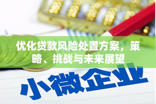 东西湖优化贷款风险处置方案，策略、挑战与未来展望
