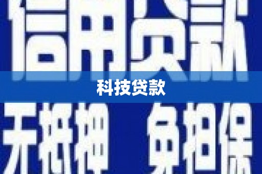 东西湖科技贷款