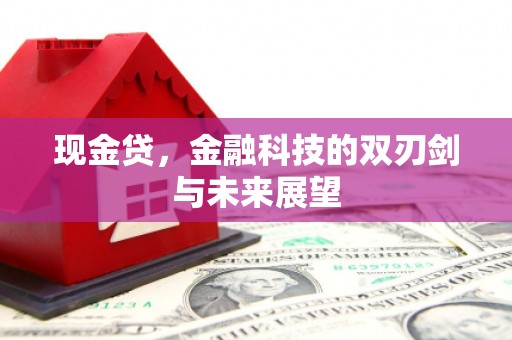 东西湖现金贷，金融科技的双刃剑与未来展望