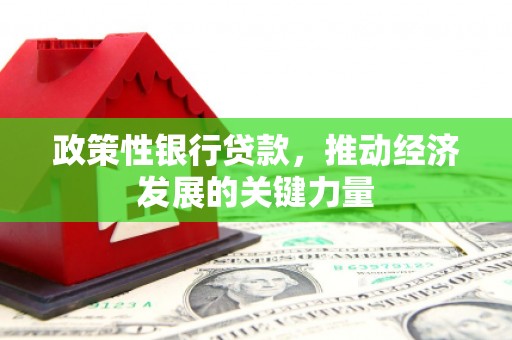东西湖政策性银行贷款，推动经济发展的关键力量