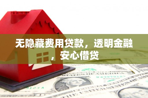 东西湖无隐藏费用贷款，透明金融，安心借贷