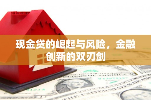 东西湖现金贷的崛起与风险，金融创新的双刃剑