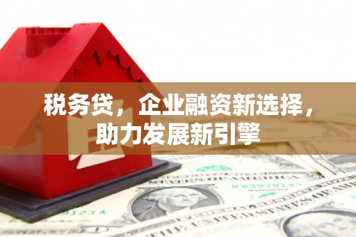 东西湖税务贷，企业融资新选择，助力发展新引擎