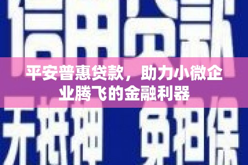 东西湖平安普惠贷款，助力小微企业腾飞的金融利器