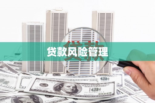 东西湖贷款风险管理