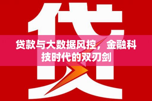 东西湖贷款与大数据风控，金融科技时代的双刃剑