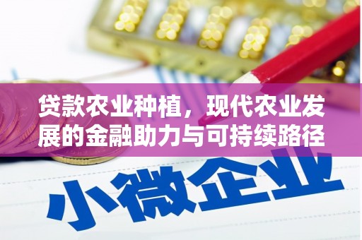 东西湖贷款农业种植，现代农业发展的金融助力与可持续路径