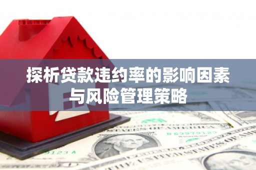 东西湖探析贷款违约率的影响因素与风险管理策略