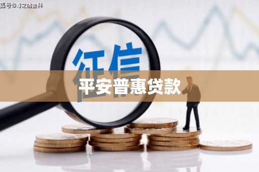 东西湖平安普惠贷款