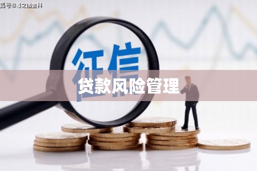 东西湖贷款风险管理
