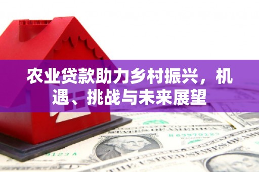 东西湖农业贷款助力乡村振兴，机遇、挑战与未来展望