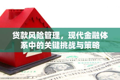 东西湖贷款风险管理，现代金融体系中的关键挑战与策略