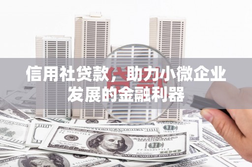 东西湖信用社贷款，助力小微企业发展的金融利器