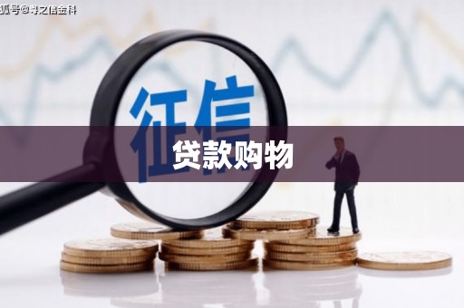 东西湖贷款购物