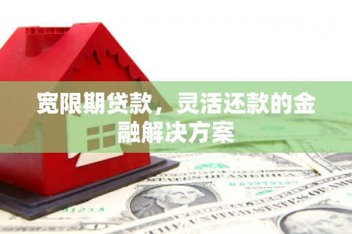 东西湖宽限期贷款，灵活还款的金融解决方案