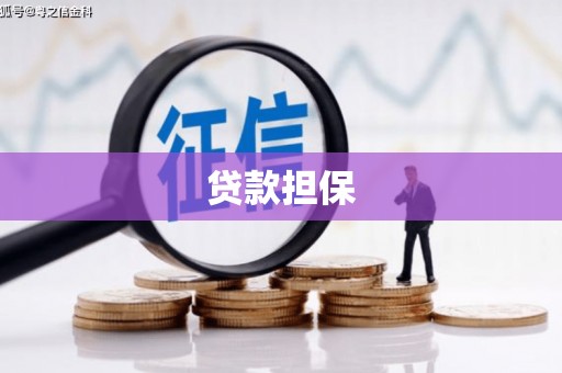 东西湖贷款担保