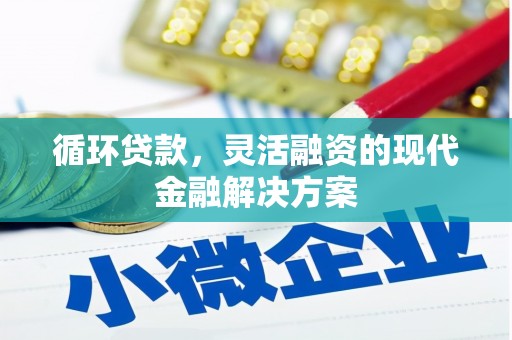 东西湖循环贷款，灵活融资的现代金融解决方案