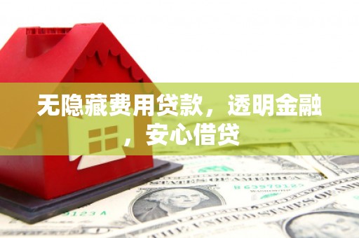 东西湖无隐藏费用贷款，透明金融，安心借贷
