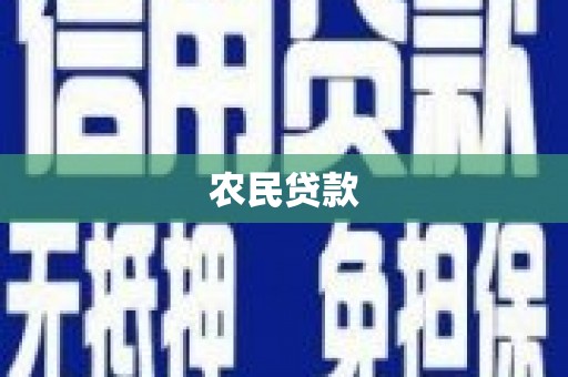 东西湖农民贷款