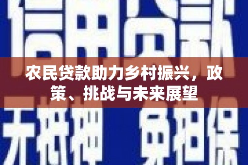 东西湖农民贷款助力乡村振兴，政策、挑战与未来展望