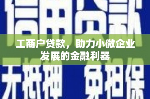东西湖工商户贷款，助力小微企业发展的金融利器