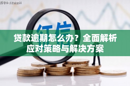 东西湖贷款逾期怎么办？全面解析应对策略与解决方案
