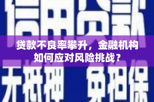 东西湖贷款不良率攀升，金融机构如何应对风险挑战？