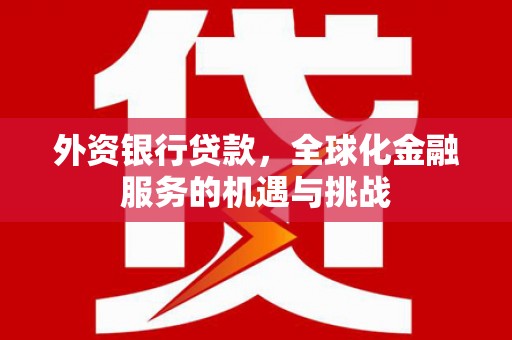 东西湖外资银行贷款，全球化金融服务的机遇与挑战