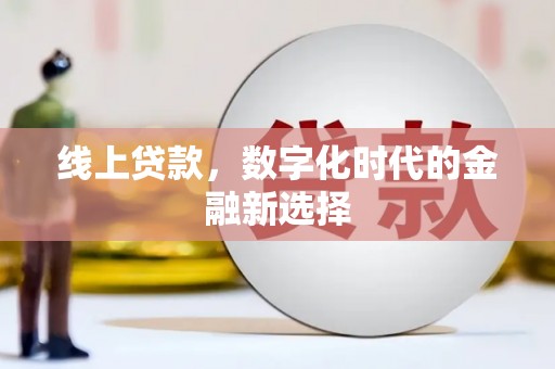 东西湖线上贷款，数字化时代的金融新选择