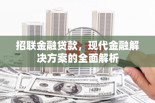 东西湖招联金融贷款，现代金融解决方案的全面解析