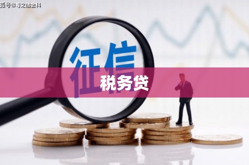 东西湖税务贷