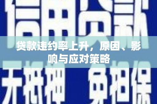 东西湖贷款违约率上升，原因、影响与应对策略