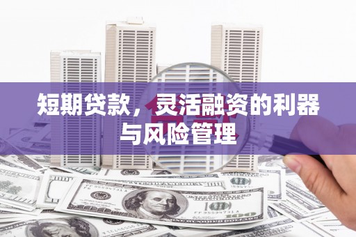 东西湖短期贷款，灵活融资的利器与风险管理