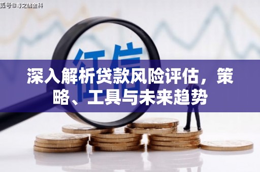 东西湖深入解析贷款风险评估，策略、工具与未来趋势