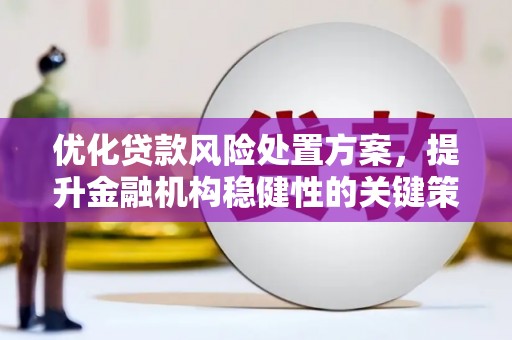 东西湖优化贷款风险处置方案，提升金融机构稳健性的关键策略