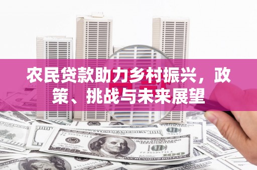 东西湖农民贷款助力乡村振兴，政策、挑战与未来展望