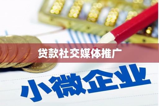 东西湖贷款社交媒体推广