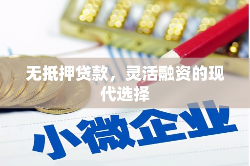 东西湖无抵押贷款，灵活融资的现代选择
