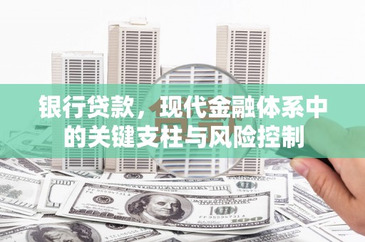 东西湖银行贷款，现代金融体系中的关键支柱与风险控制