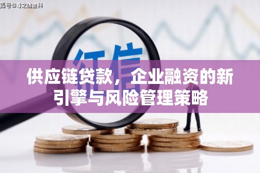 东西湖供应链贷款，企业融资的新引擎与风险管理策略