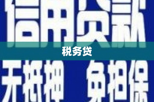 东西湖税务贷