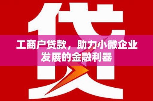 东西湖工商户贷款，助力小微企业发展的金融利器