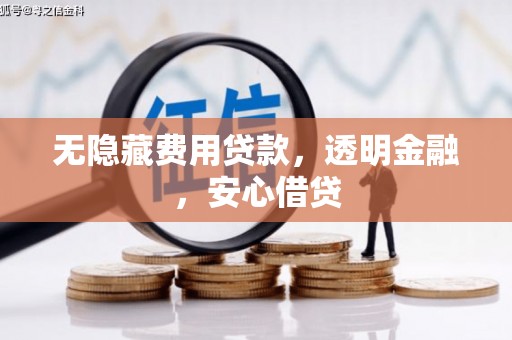东西湖无隐藏费用贷款，透明金融，安心借贷