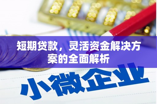 东西湖短期贷款，灵活资金解决方案的全面解析