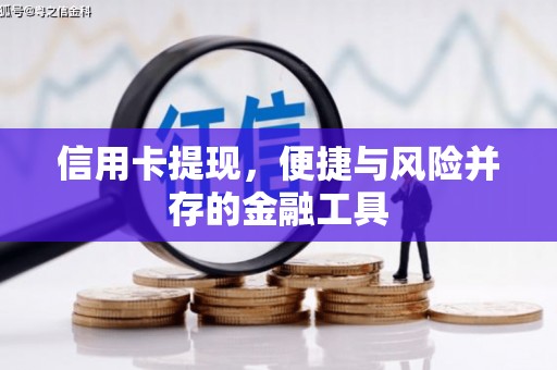 东西湖信用卡提现，便捷与风险并存的金融工具