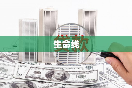 东西湖生命线