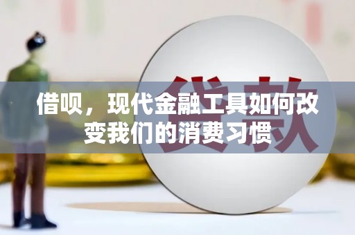 东西湖借呗，现代金融工具如何改变我们的消费习惯