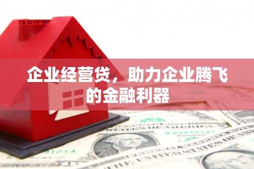 东西湖企业经营贷，助力企业腾飞的金融利器